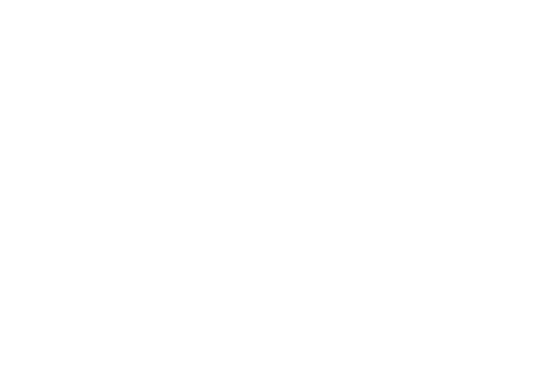 Logo begin